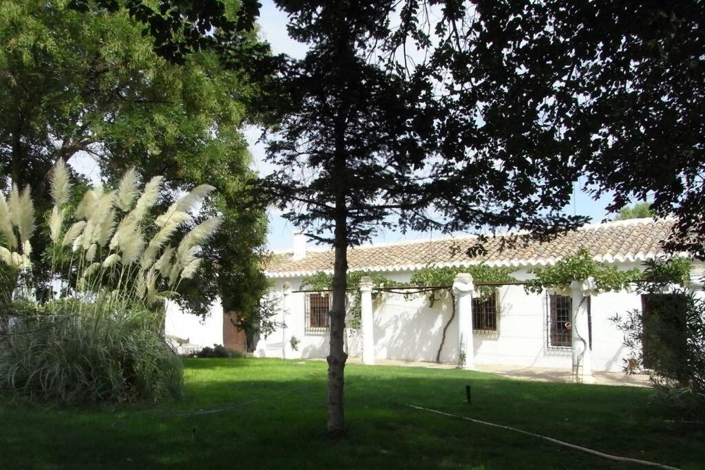 Casa El Carmen Vila Cidade Real Exterior foto