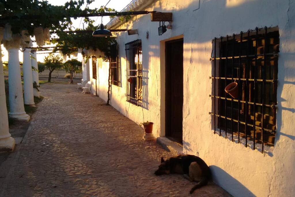 Casa El Carmen Vila Cidade Real Exterior foto