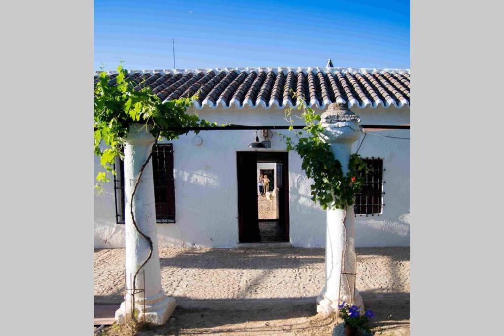 Casa El Carmen Vila Cidade Real Exterior foto